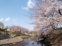 岸根公園