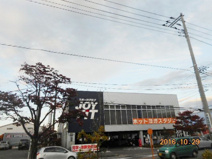 JOYFIT