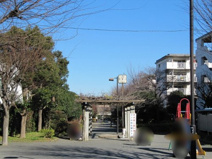 はなみずき公園