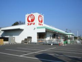 コメリハード＆グリーン埼玉花園店