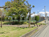 釜無川スポーツ公園テニスコート