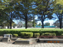 常盤公園