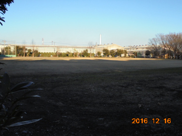 みいずが原公園の画像2