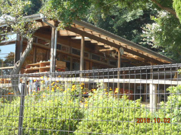 ふきのとう保育園の画像2