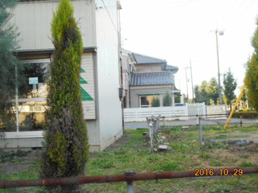 しらこばと保育園の画像1