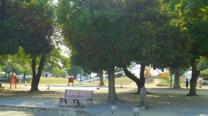 妻沼運動公園の画像3