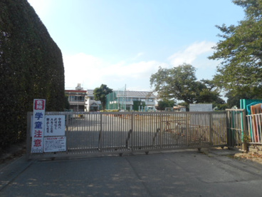 秦小学校の画像1