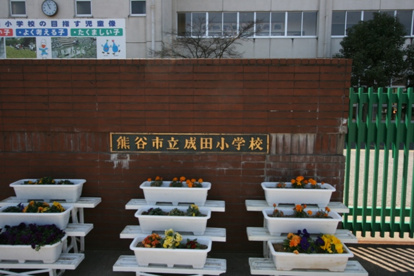 成田星宮小学校の画像1