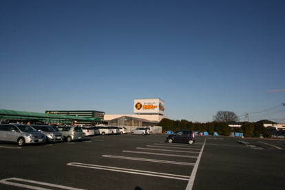 セキチュー熊谷小島店の画像1