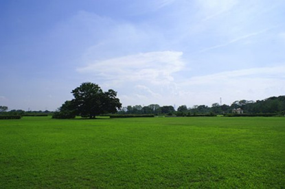 荒川大麻生公園の画像1