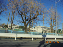 大原中学校