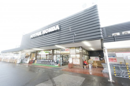 ジョイフル本田市原店の画像1