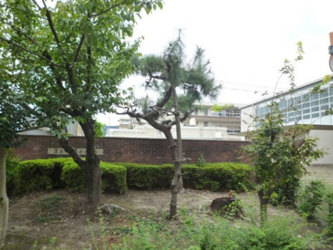 箕面市立西南小学校の画像1