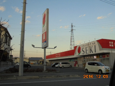 ドラッグストアセキ熊谷円光店の画像1