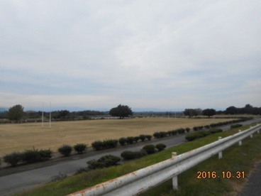 荒川運動公園の画像1