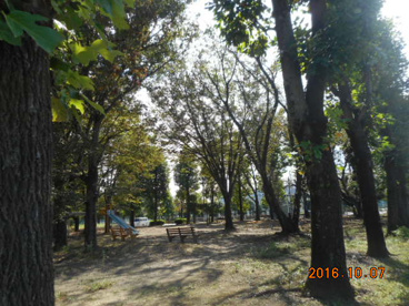 南公園の画像2