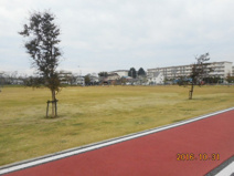伊勢町ふれあい公園