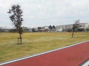 伊勢町ふれあい公園の画像1