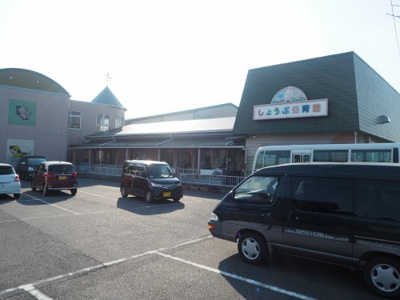 菖蒲保育園の画像