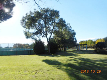 熊谷さくら運動公園室内温水プールの画像2