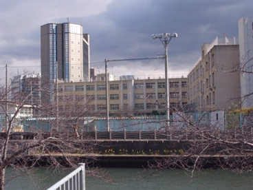 大阪市立鯰江東小学校の画像1