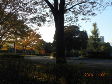 白草台運動公園の画像2