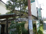 田中接骨医院