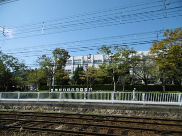 大津商業高校の画像1