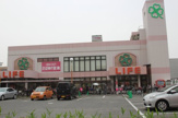 ライフ横堤店