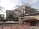 横堤小学校の画像