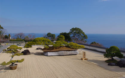 アカオハーブ＆ローズガーデンの画像4