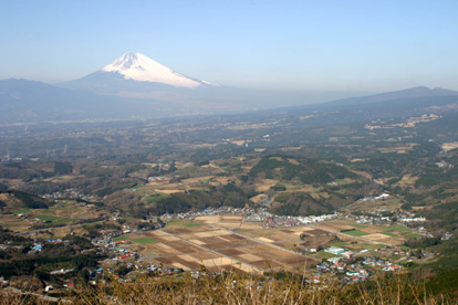 酪農王国オラッチェの画像2