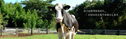 酪農王国オラッチェの画像5