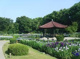 城北公園の画像
