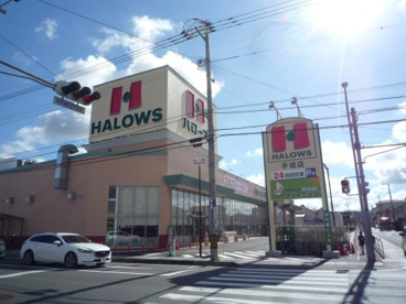 ハローズ手城店の画像1