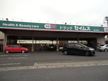 セイムス南川崎店の画像1