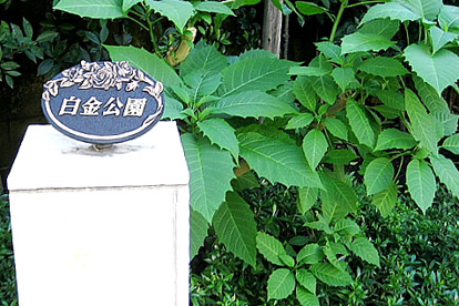 白金公園の画像1
