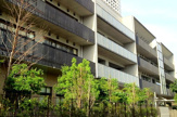 港区立港南小学校