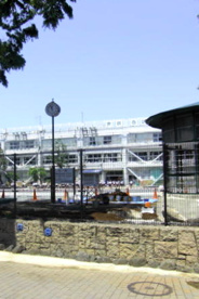 太子堂小学校の画像1