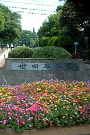 世田谷公園の画像1