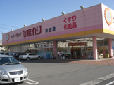 ドラッグストア ひまわり本庄店