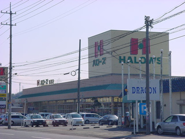 ハローズ新涯店の画像2