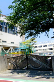 中丸小学校の画像1