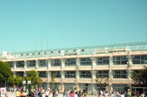 多聞小学校