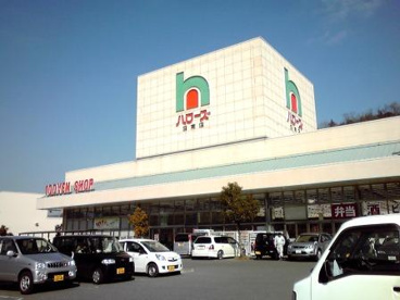 ハローズ沼南店の画像1