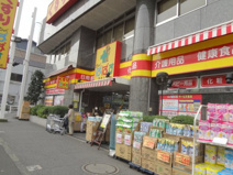 どらっぐぱぱす 西馬込店