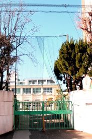 代沢小学校の画像1