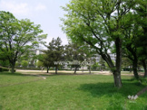 竹見公園