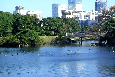 浜離宮恩賜庭園の画像1