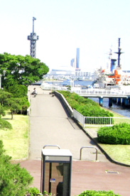 晴海ふ頭公園の画像1